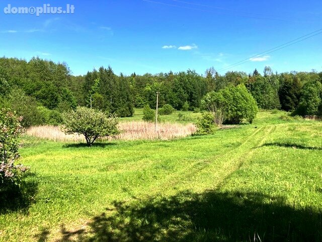 Homestead for sale Alytaus rajono sav., Būriškėse