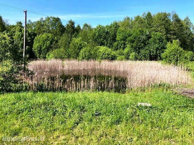 Homestead for sale Alytaus rajono sav., Būriškėse