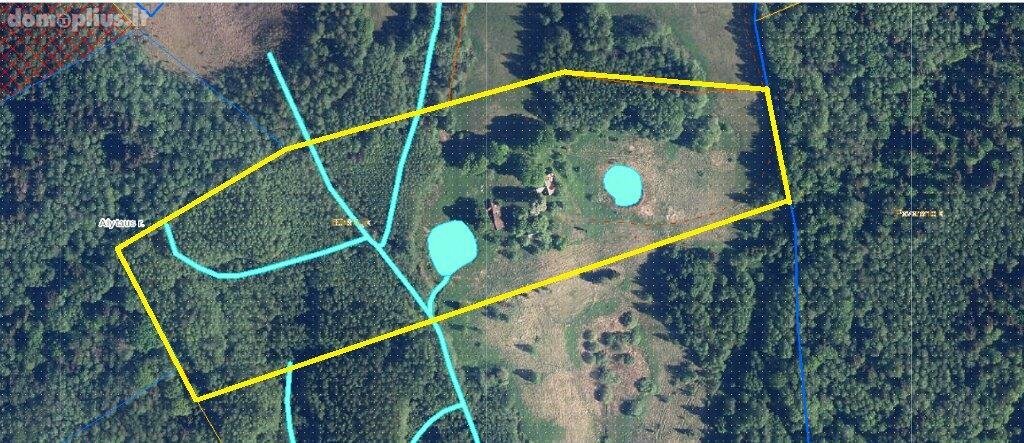 Homestead for sale Alytaus rajono sav., Būriškėse
