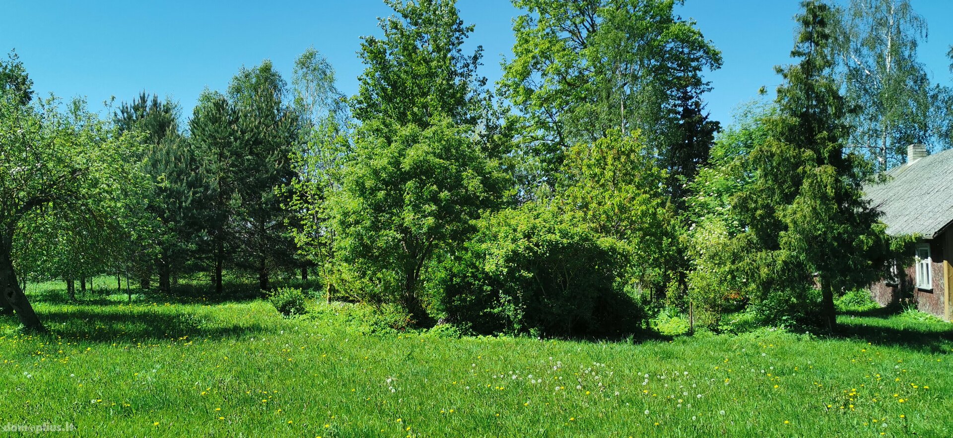 Parduodama sodyba Pasvalio rajono sav., Papiškiuose