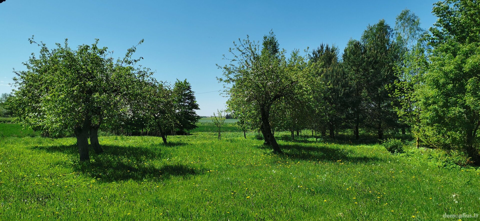 Parduodama sodyba Pasvalio rajono sav., Papiškiuose
