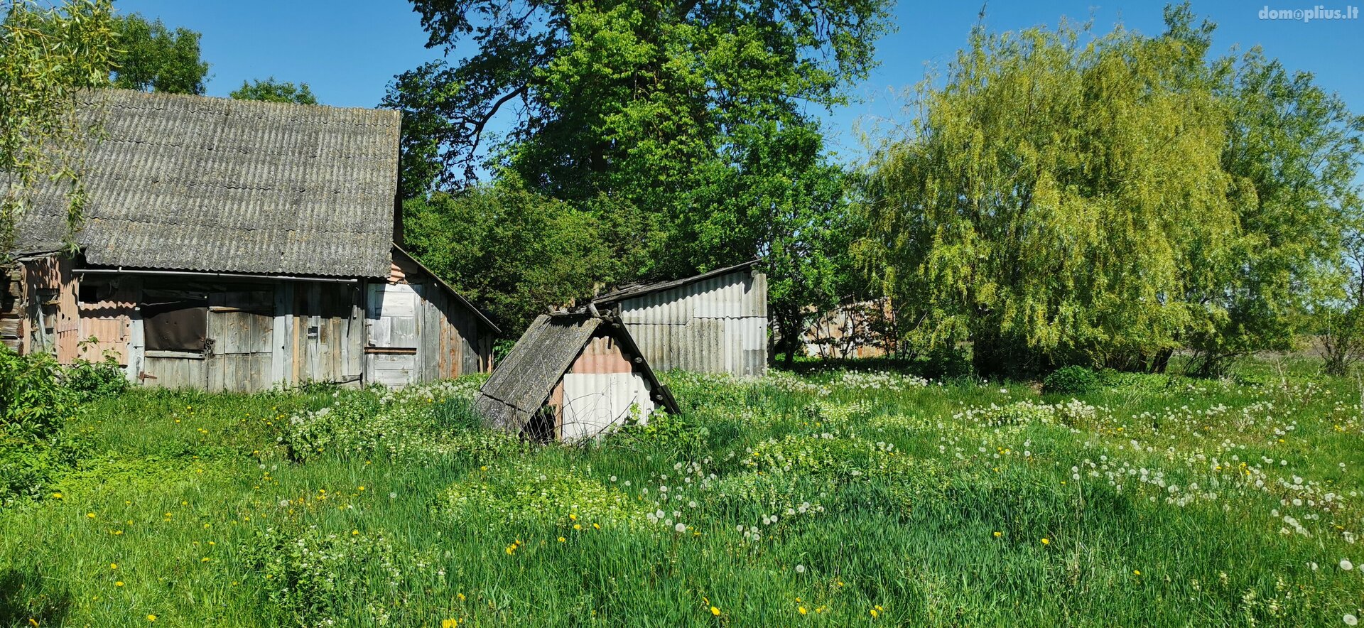 Parduodama sodyba Pasvalio rajono sav., Papiškiuose