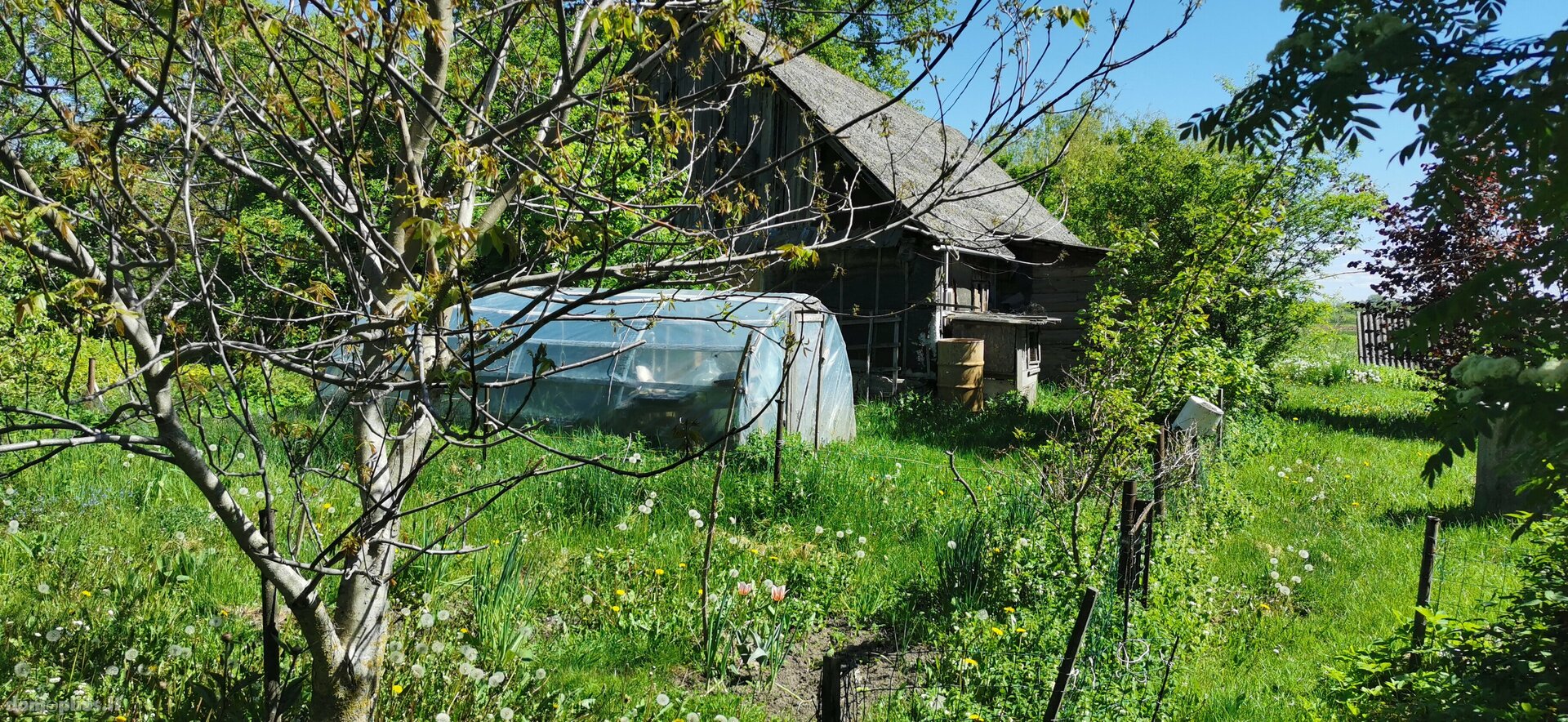 Parduodama sodyba Pasvalio rajono sav., Papiškiuose