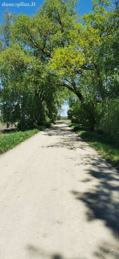Parduodama sodyba Pasvalio rajono sav., Papiškiuose