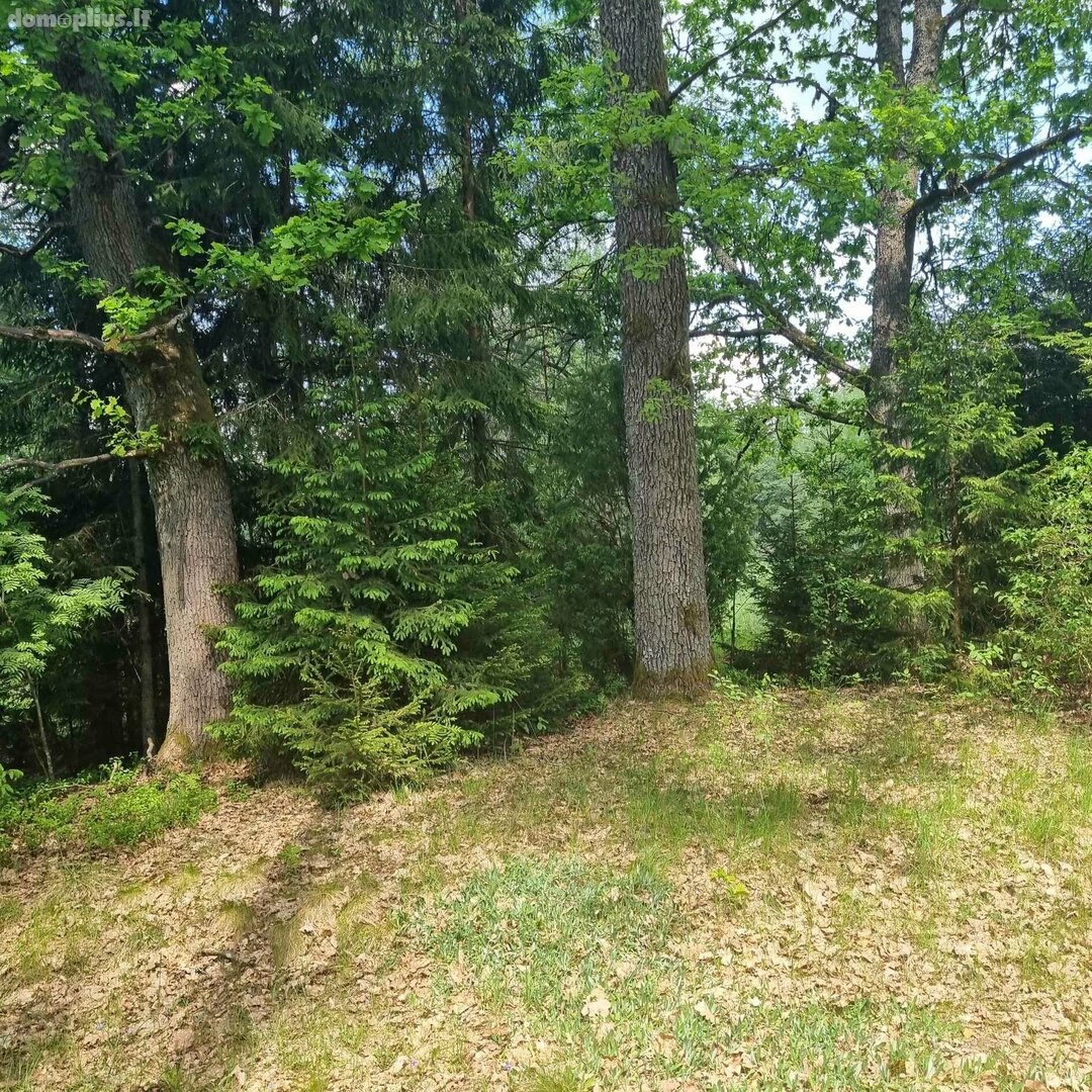 Parduodamas kita Kauno rajono sav., Šiuliuose, Višakio g.