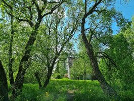 Parduodamas gyvenamasis namas Varėnos rajono sav., Panaroje, Parko g.