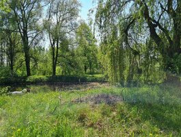 Parduodamas gyvenamasis namas Varėnos rajono sav., Panaroje, Parko g.