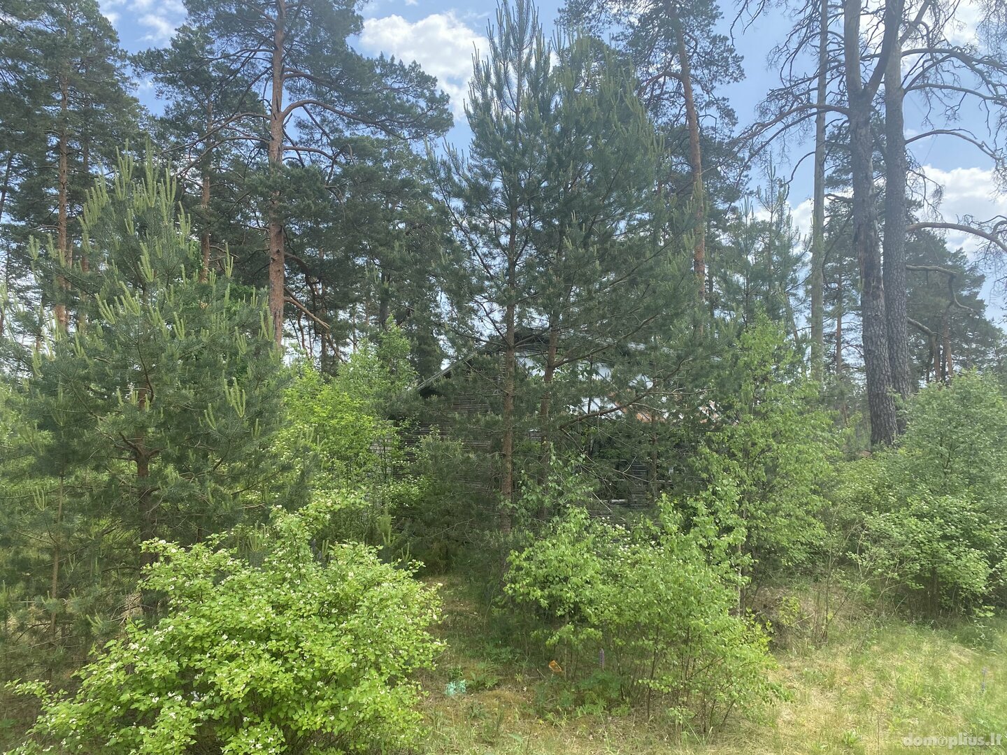Parduodamas gyvenamasis namas Druskininkų sav., Švendubrėje, Švendubrės g.