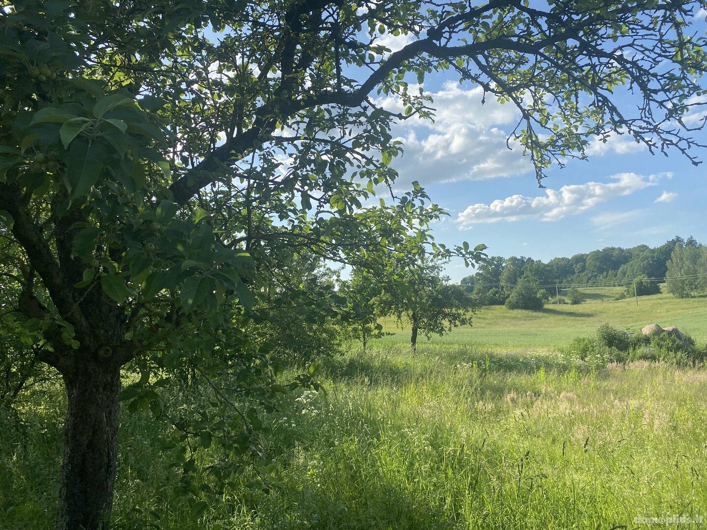 Parduodamas gyvenamasis namas Lazdijų rajono sav., Marčiukonyse