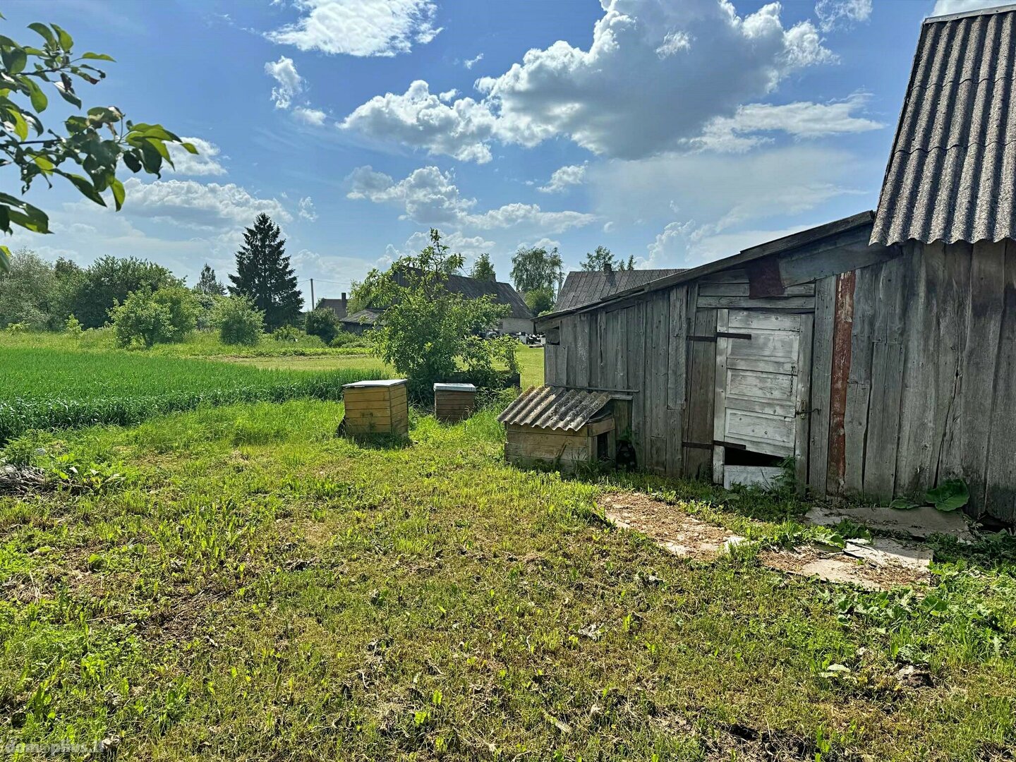 Parduodama sodyba Radviliškio rajono sav., Pociūnėliuose, Simoniškių g.