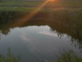 Parduodama sodyba Širvintų rajono sav., Antanaičiuose, Šiaulių g.