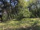 Продаётся дом Lazdijų rajono sav., Noragėliuose (4 Фотография)