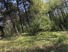 Parduodamas gyvenamasis namas Lazdijų rajono sav., Noragėliuose