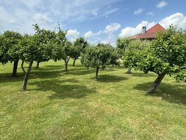 Parduodamas sodo namas Klaipėdos rajono sav., Doviluose