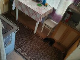 Parduodamas kita Klaipėdos rajono sav., Žiaukos, Valerijonų g.
