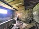 Homestead for sale Kupiškio rajono sav., Virbališkiuose, Lėvens g. (23 picture)