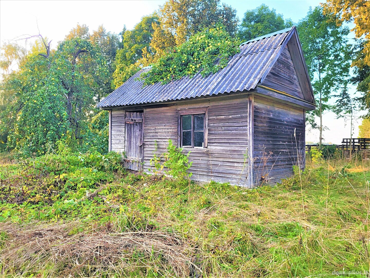 Продаётся yсадьба Kupiškio rajono sav., Virbališkiuose, Lėvens g.