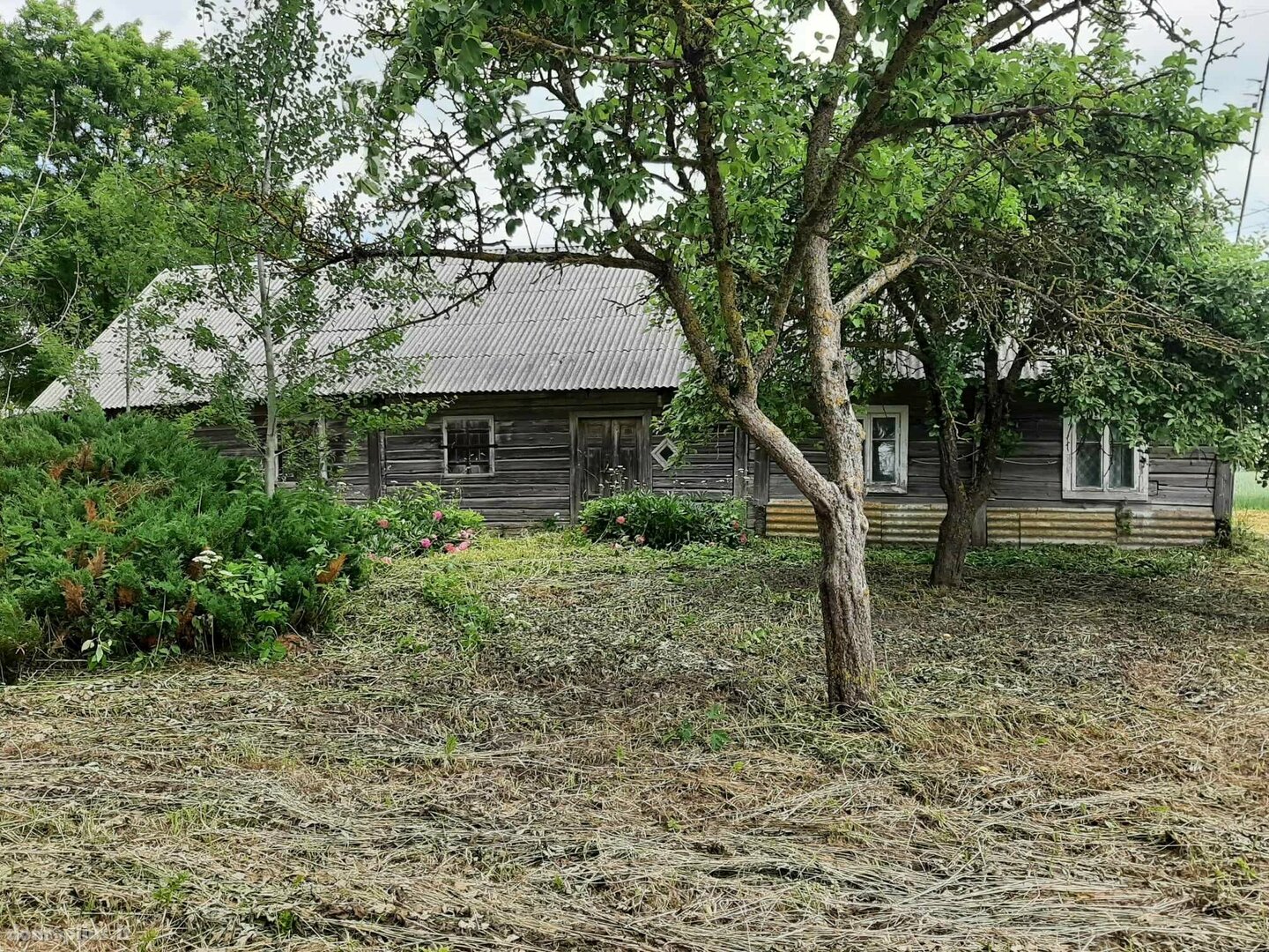 Parduodamas gyvenamasis namas Joniškio rajono sav., Jauneikiuose, Jurginų g.