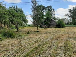 Parduodamas gyvenamasis namas Joniškio rajono sav., Jauneikiuose, Jurginų g.
