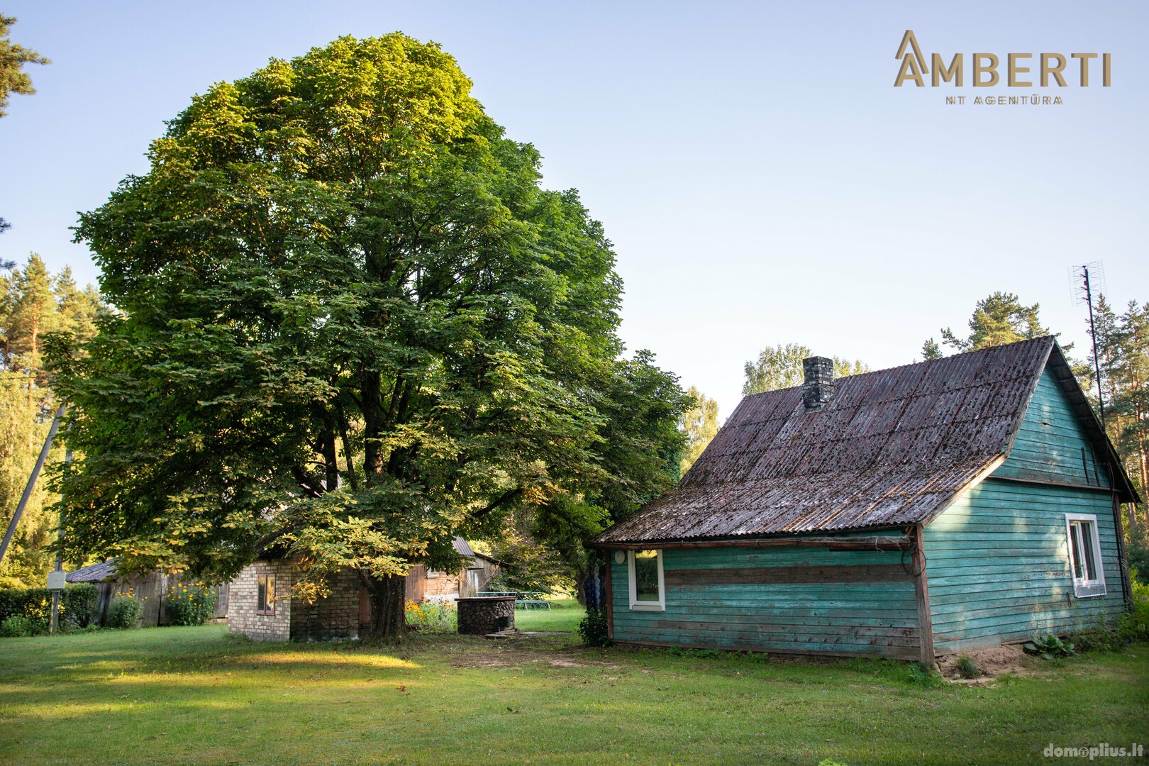 Parduodama sodyba Šiaulių rajono sav., Beinoriškėje