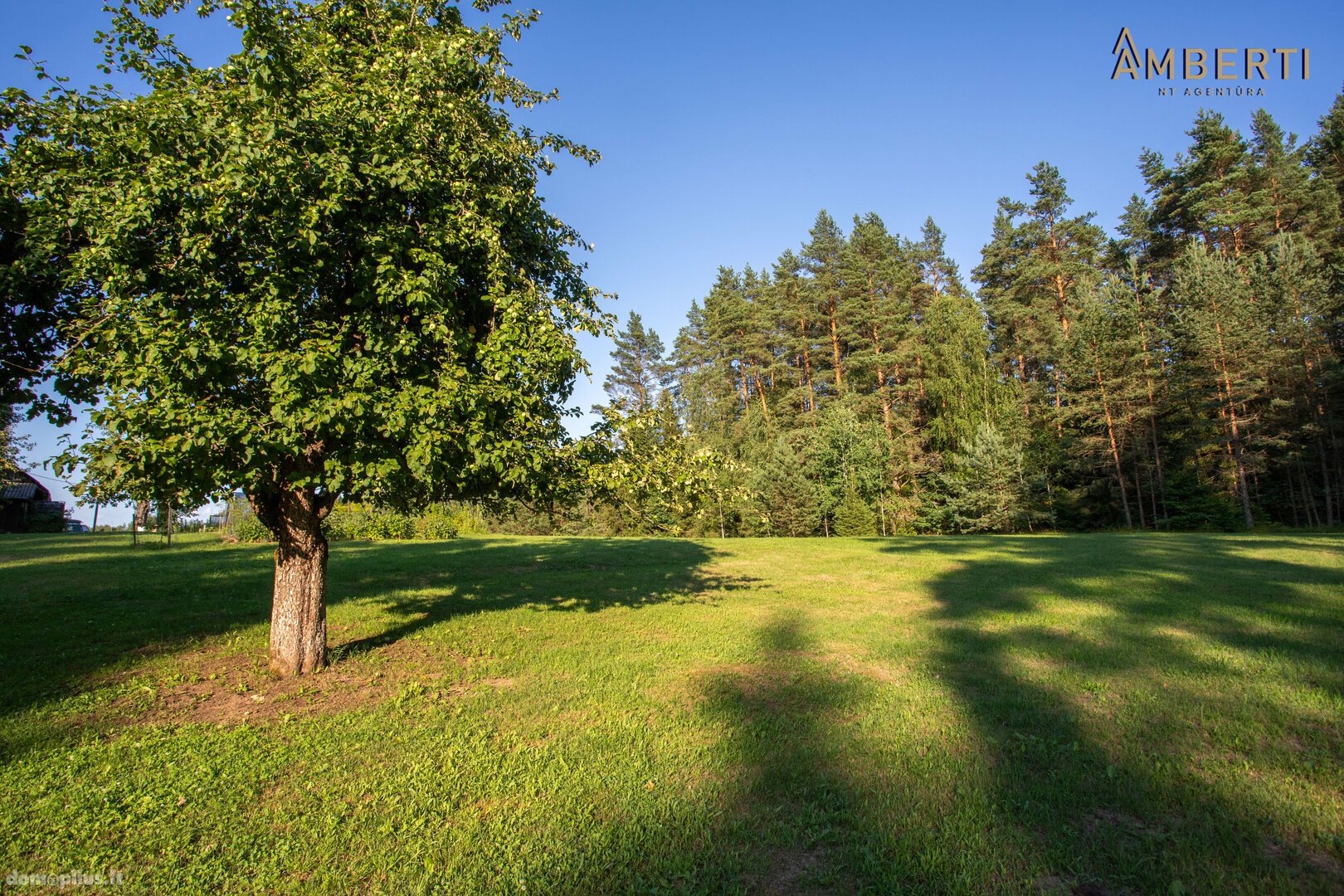 Parduodama sodyba Šiaulių rajono sav., Beinoriškėje