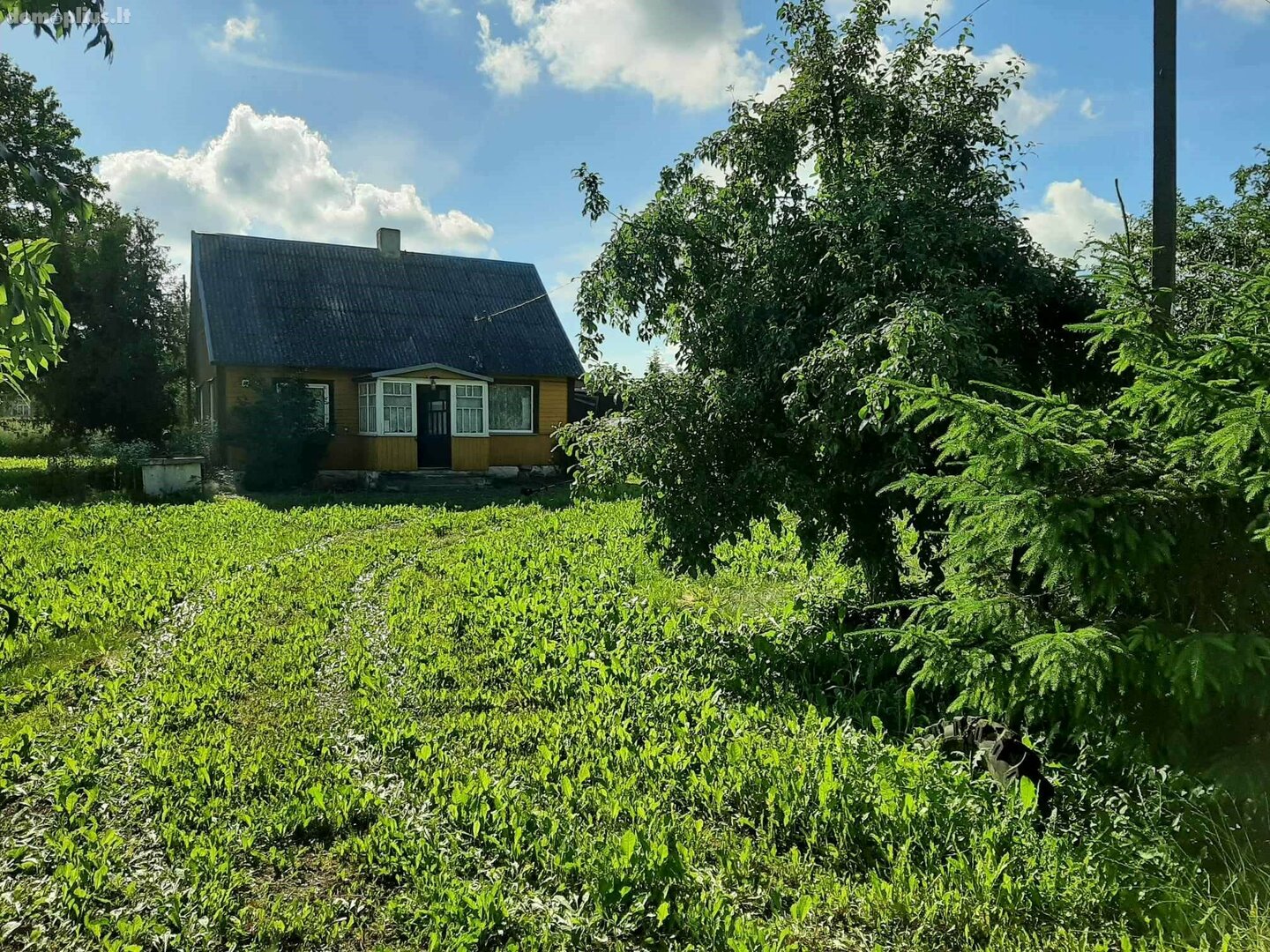 Parduodamas gyvenamasis namas Pakruojo rajono sav., Steigviliuose, Centrinė g.