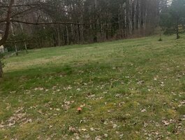 Продаётся дача Klaipėdos rajono sav., Šiūpariuose