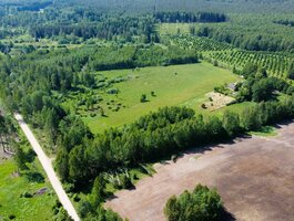 Parduodama sodyba Kazlų Rūdos sav., Lodiškėje