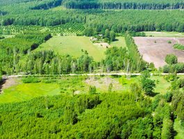 Parduodama sodyba Kazlų Rūdos sav., Lodiškėje