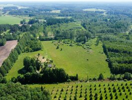 Parduodama sodyba Kazlų Rūdos sav., Lodiškėje