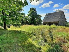 Parduodama sodyba Tauragės rajono sav., Pužuose, Šiaulių g.