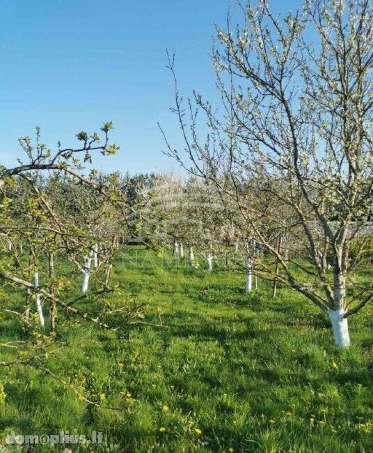 Parduodama sodyba Klaipėdos rajono sav., Baukštininkuose