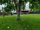 Summer house for sale Klaipėdos rajono sav., Dituvoje (1 picture)