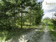 Homestead for sale Kelmės rajono sav., Johampolyje, Sodų g. (10 picture)