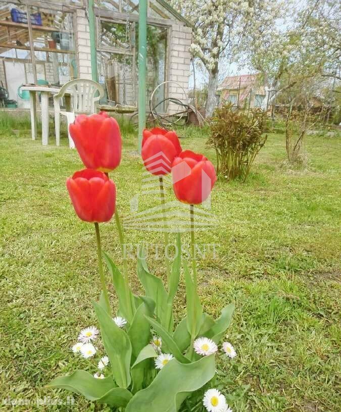 Parduodamas sodo namas Klaipėdos rajono sav., Dercekliuose