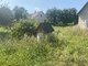 House for sale Lazdijų rajono sav., Šadžiūnuose (8 picture)