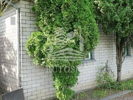 Parduodama sodyba Klaipėdos rajono sav., Kvietiniuose