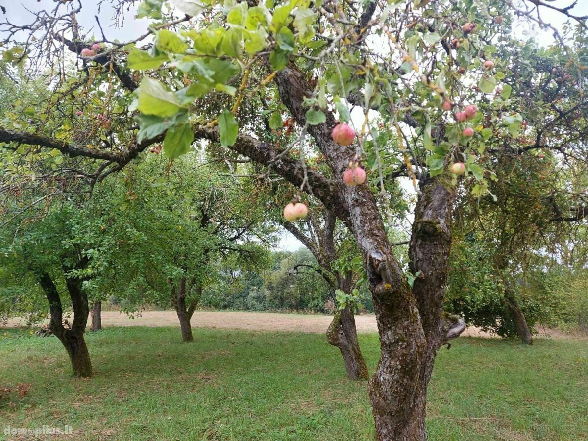 Parduodama sodyba Anykščių rajono sav., Medžiočiuose, Duobos g.