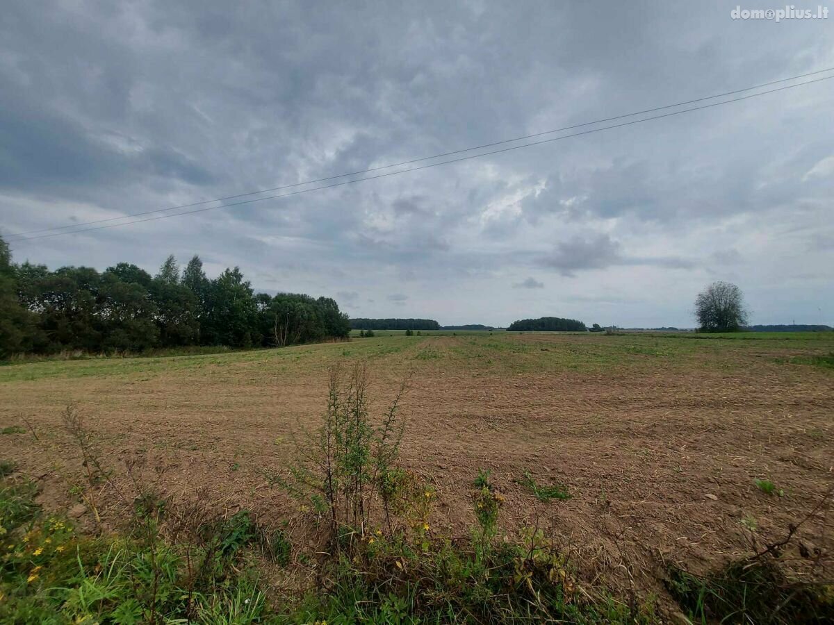 Parduodama sodyba Anykščių rajono sav., Medžiočiuose, Duobos g.