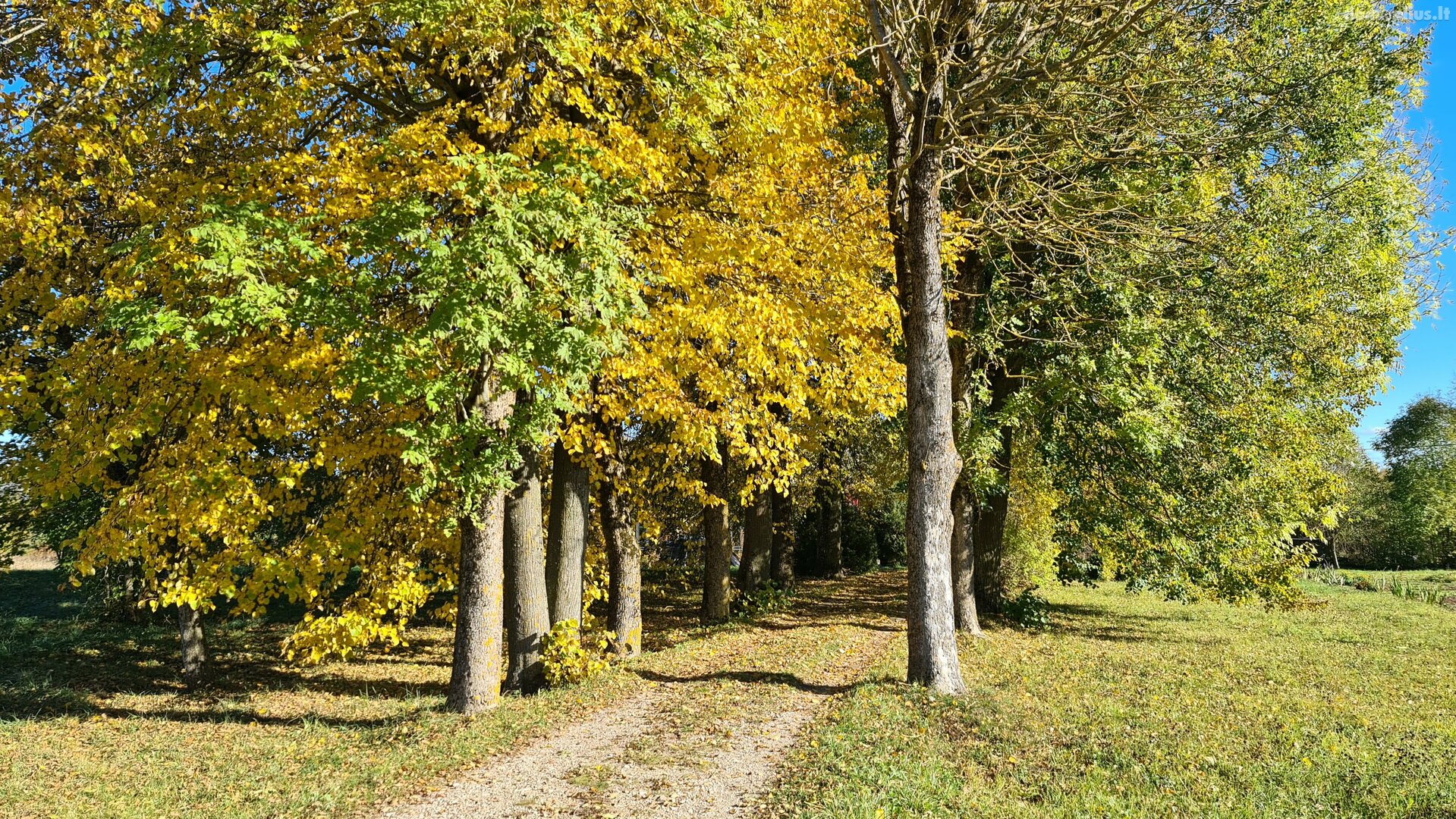 Parduodamas gyvenamasis namas Šiaulių rajono sav., Rėkyvoje, Bačiūnų g.
