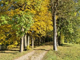Gyvenamasis namas Šiaulių rajono sav., Rėkyvoje, Bačiūnų g.