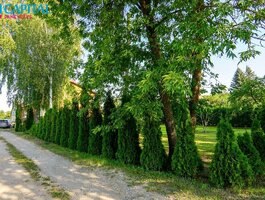 Parduodamas gyvenamasis namas Kupiškio rajono sav., Alizavoje, Biržų g.