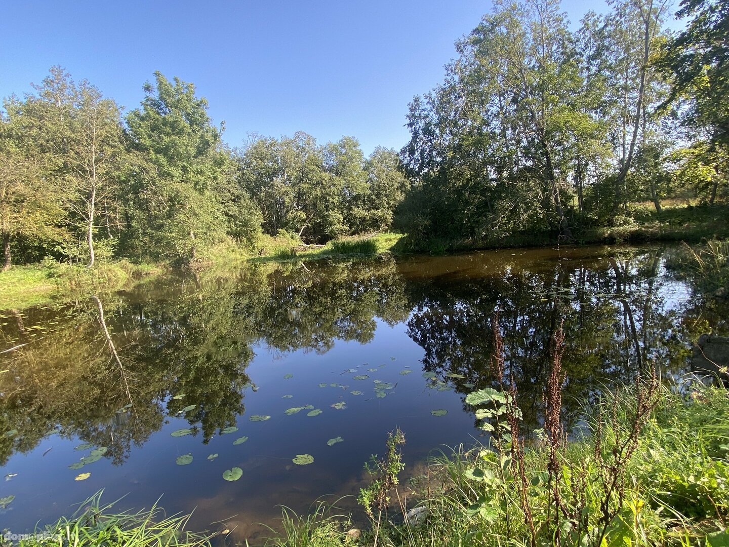 Parduodamas gyvenamasis namas Pakruojo rajono sav., Degučiuose, Ąžuolo g.