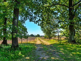 House for sale Panevėžyje, Rožėse, Smėlynės g.