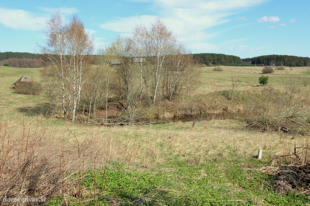 Parduodama sodyba Molėtų rajono sav., Kačerguose