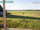 Homestead for sale Kelmės rajono sav., Aukštiškiuose (3 picture)