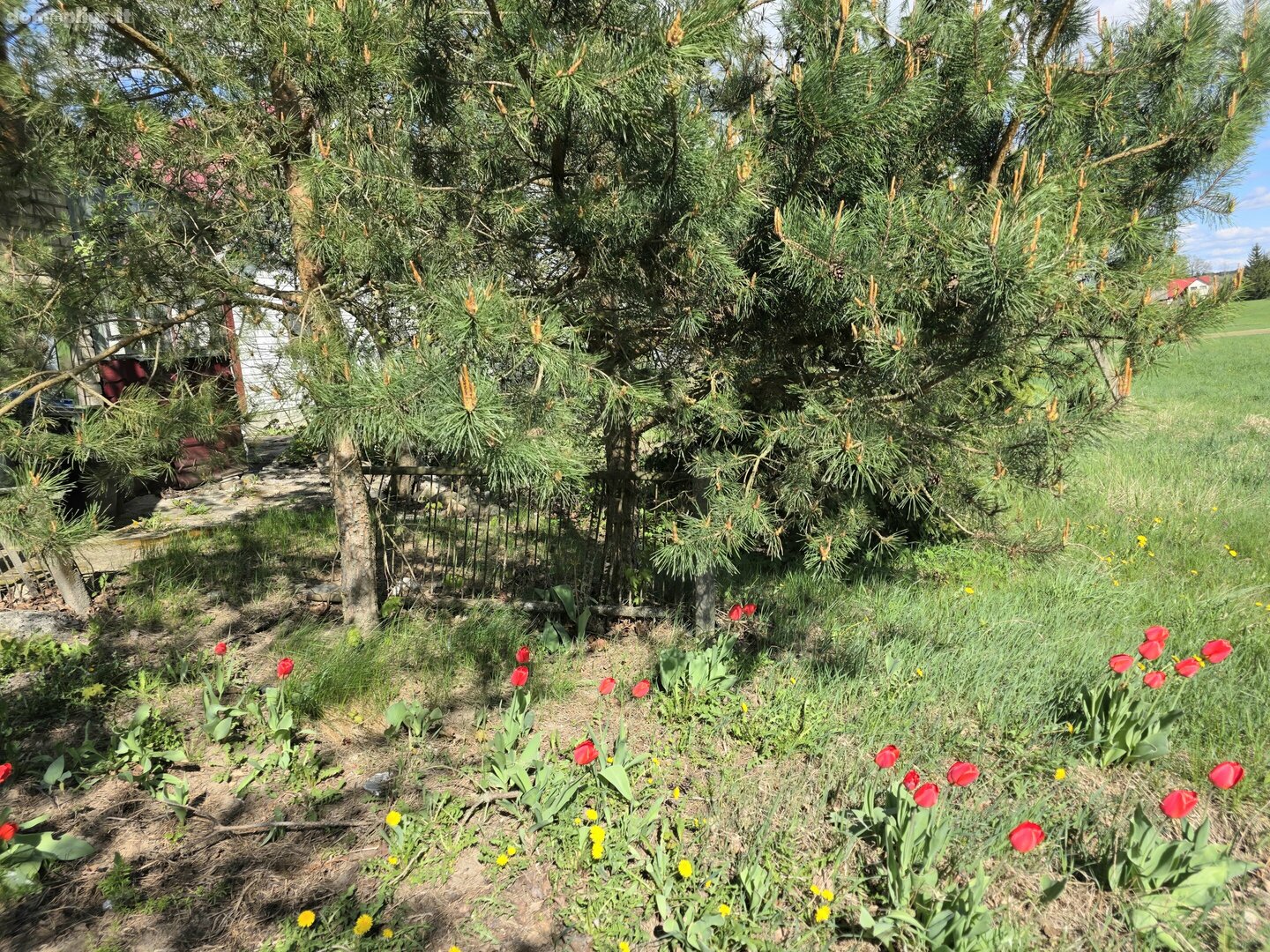 Продаётся yсадьба Molėtų rajono sav., Pašiliuose