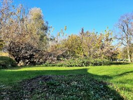 Parduodama gyvenamojo namo dalis Pasvalio rajono sav., Pasvalyje, Dvareliškių g.