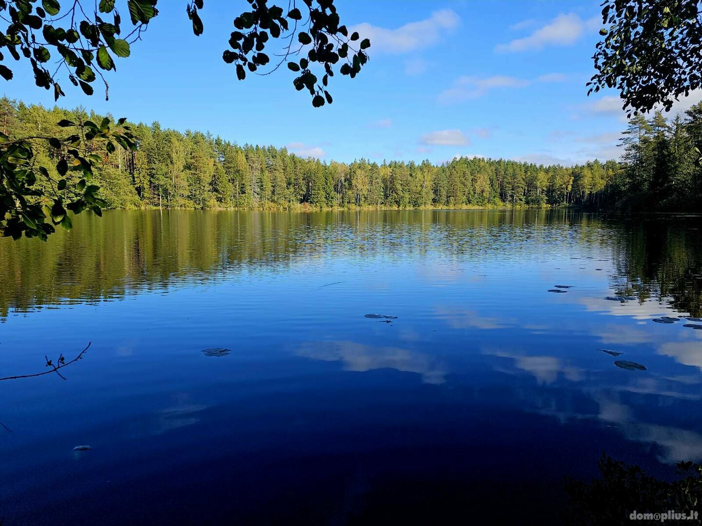 Parduodama sodyba Ignalinos rajono sav., Palabažyje