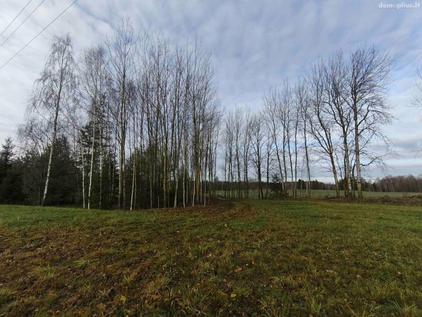 House for sale Rokiškio rajono sav., Papartynėje